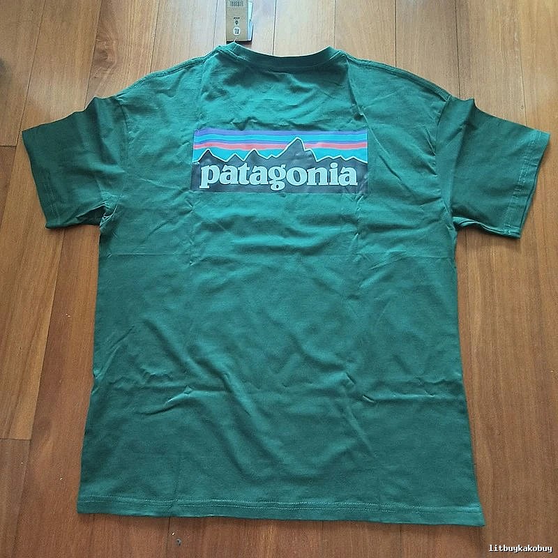 Patagonia Green Logo T-Shirt Clean Colorway Graphic
