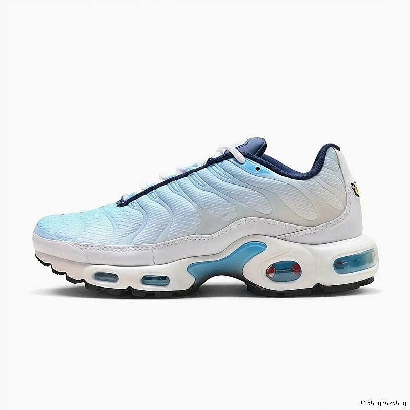 Nike Air Max 95 Retro Style Blue and White Shoes